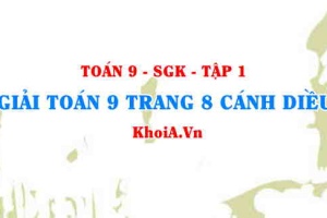 Giải Toán 9 trang 8 Cánh Diều Tập 1